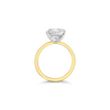 Oval Diamond Engagement Ring