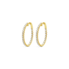 Diamond Hoop Earrings in Yellow Gold