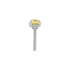 Yellow Diamond Engagement Ring