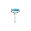 Turquoise & Diamond Ring