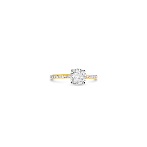 Round Diamond Engagement Ring with Diamond Accents in Band