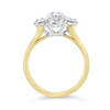 Oval Diamond Ring with Oval Diamond Halo