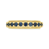 Sapphire Spinner Ring