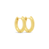 Gold Hoop Earrings