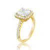 Diamond Engagement Ring with Halo