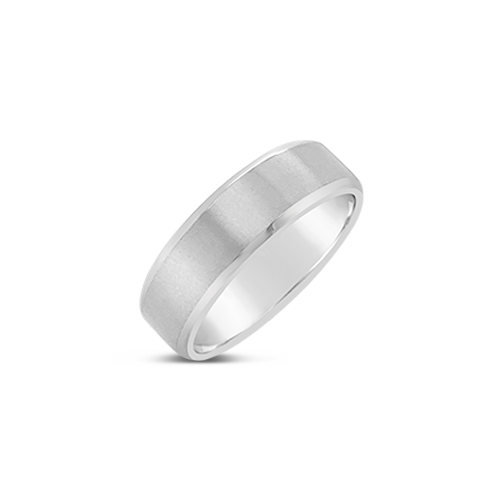 Titanium Wedding Band