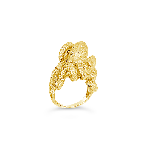 Gold Octopus Ring with Ruby Eyes – CRAIGER DRAKE DESIGNS®