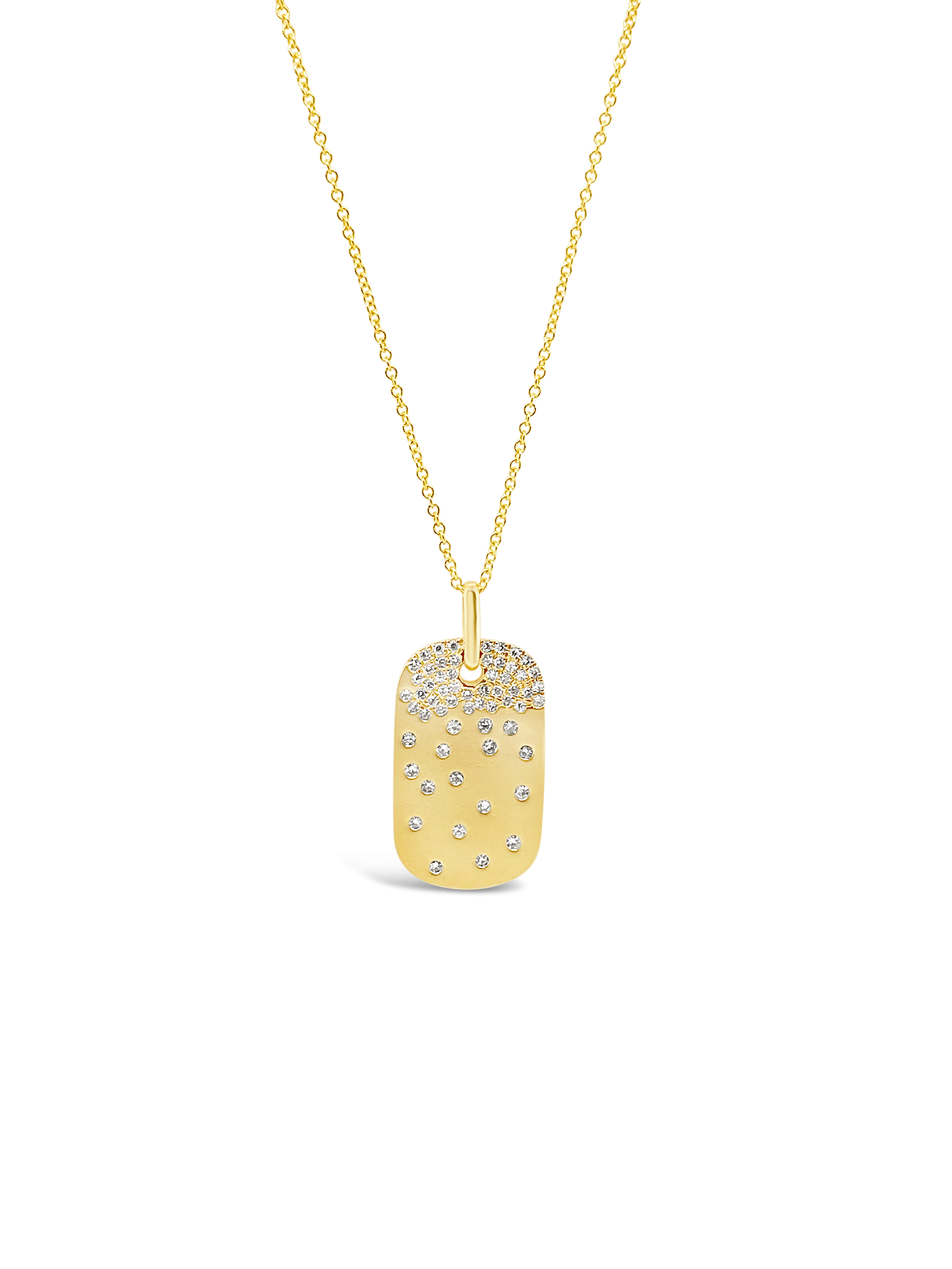 Drake Dog Tag Necklace Gold PVD / 26